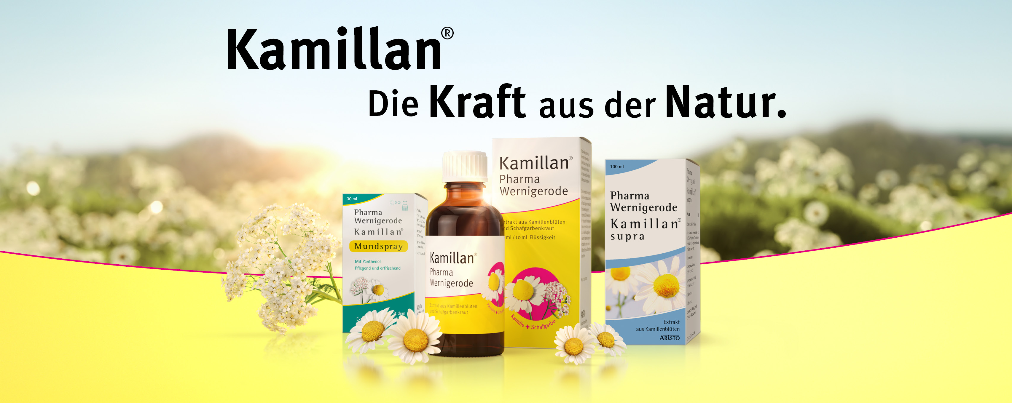 Kamillan Produktfamilie