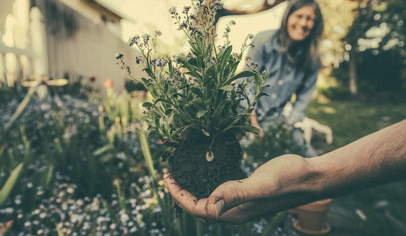 Hände während der Gartenarbeit