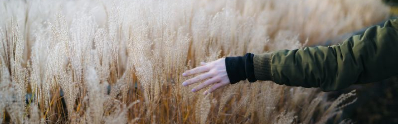 Empfindliche Vagina oder Schmerzen beim Sex? Scheidentrockenheit kann der Grund sein. ⚠️ Mehr zu Ursachen und Tipps findest du hier.