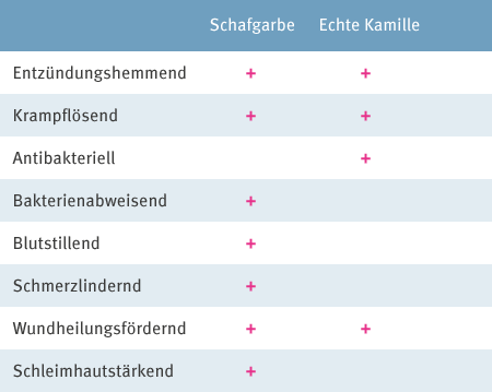 Inhaltsstoffe & Wirkweise Tabelle